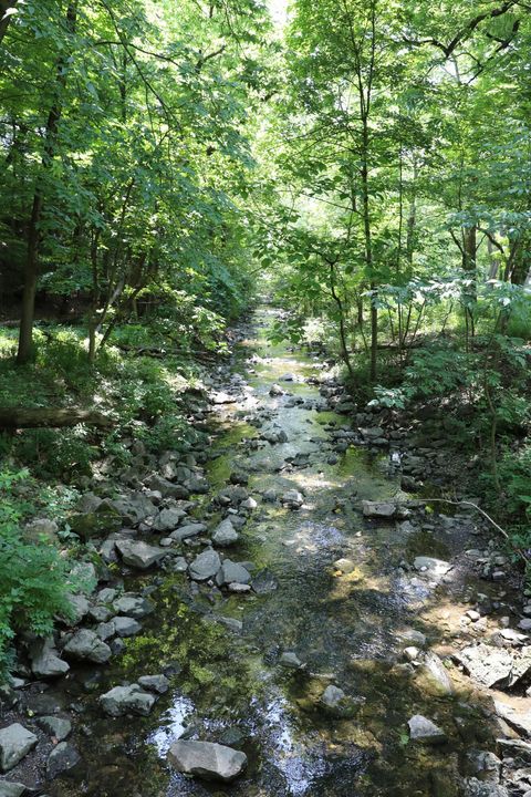 Tiny photo for 272 Colonial Avenue, Worthington, OH 43085 (MLS # 225041847)