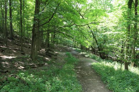 Tiny photo for 272 Colonial Avenue, Worthington, OH 43085 (MLS # 225041847)