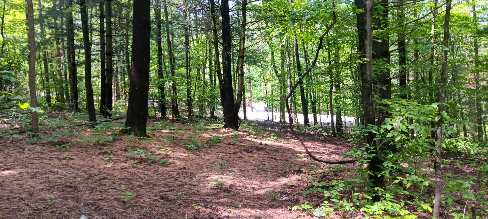 Mulberry Street #LOT M WOODS FLINT RIDGE, Newark, Ohio image 27