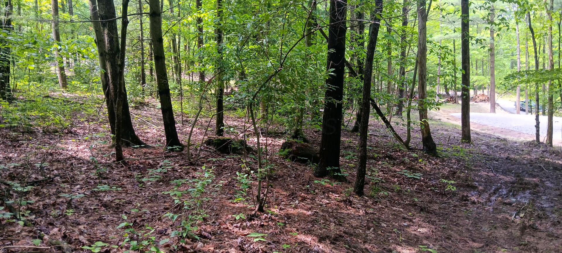 Mulberry Street #LOT M WOODS FLINT RIDGE, Newark, Ohio image 26