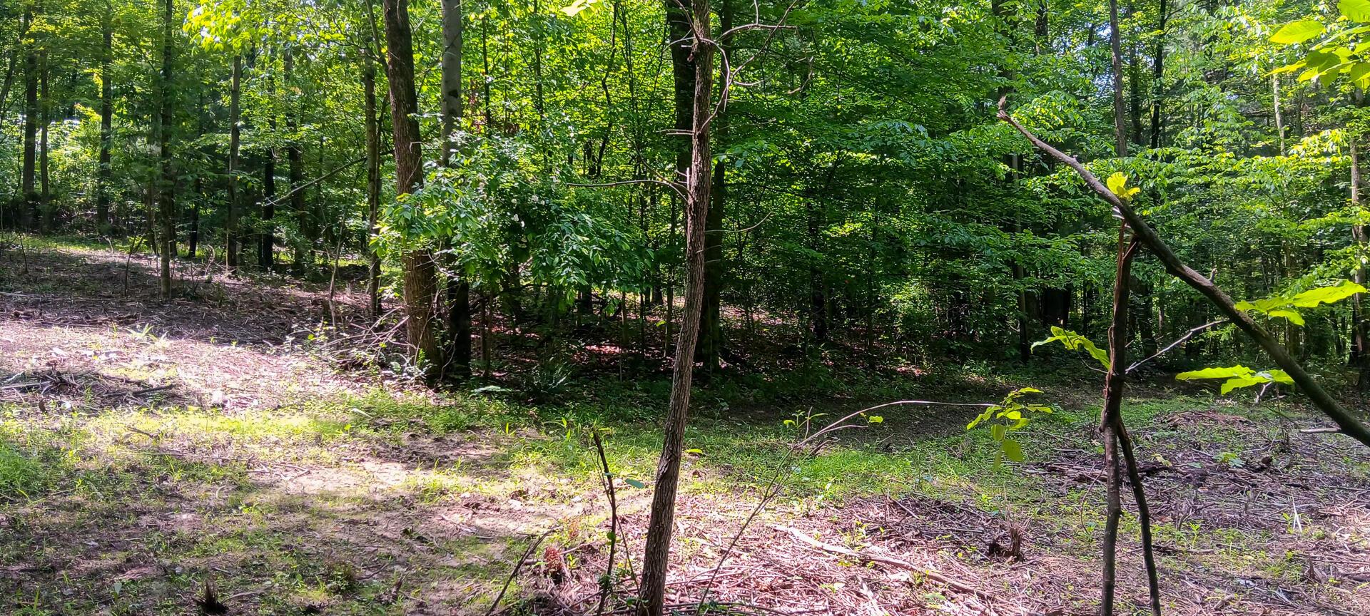 Mulberry Street #LOT M WOODS FLINT RIDGE, Newark, Ohio image 31