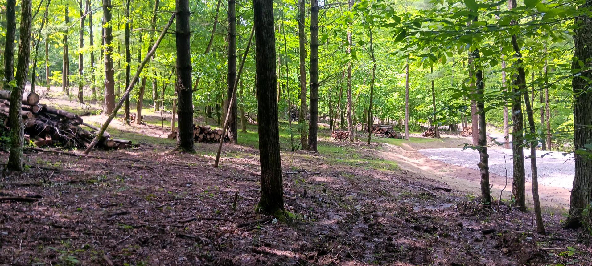 Mulberry Street #LOT M WOODS FLINT RIDGE, Newark, Ohio image 21