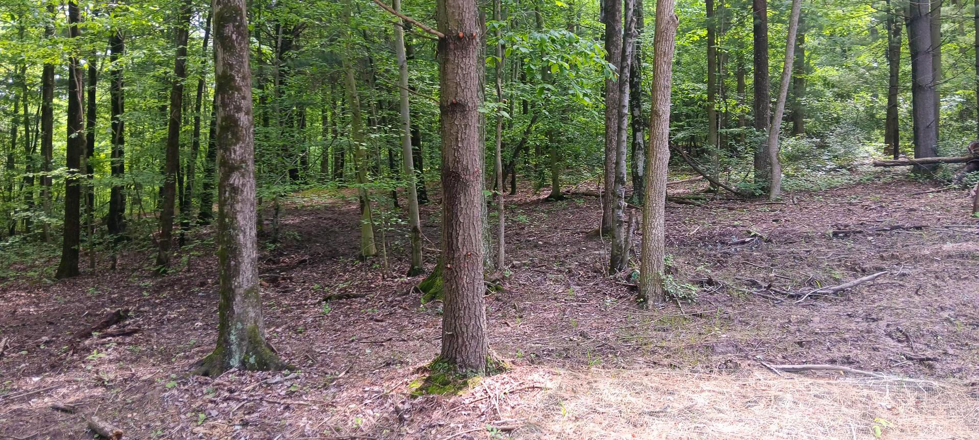 Mulberry Street #LOT M WOODS FLINT RIDGE, Newark, Ohio image 17