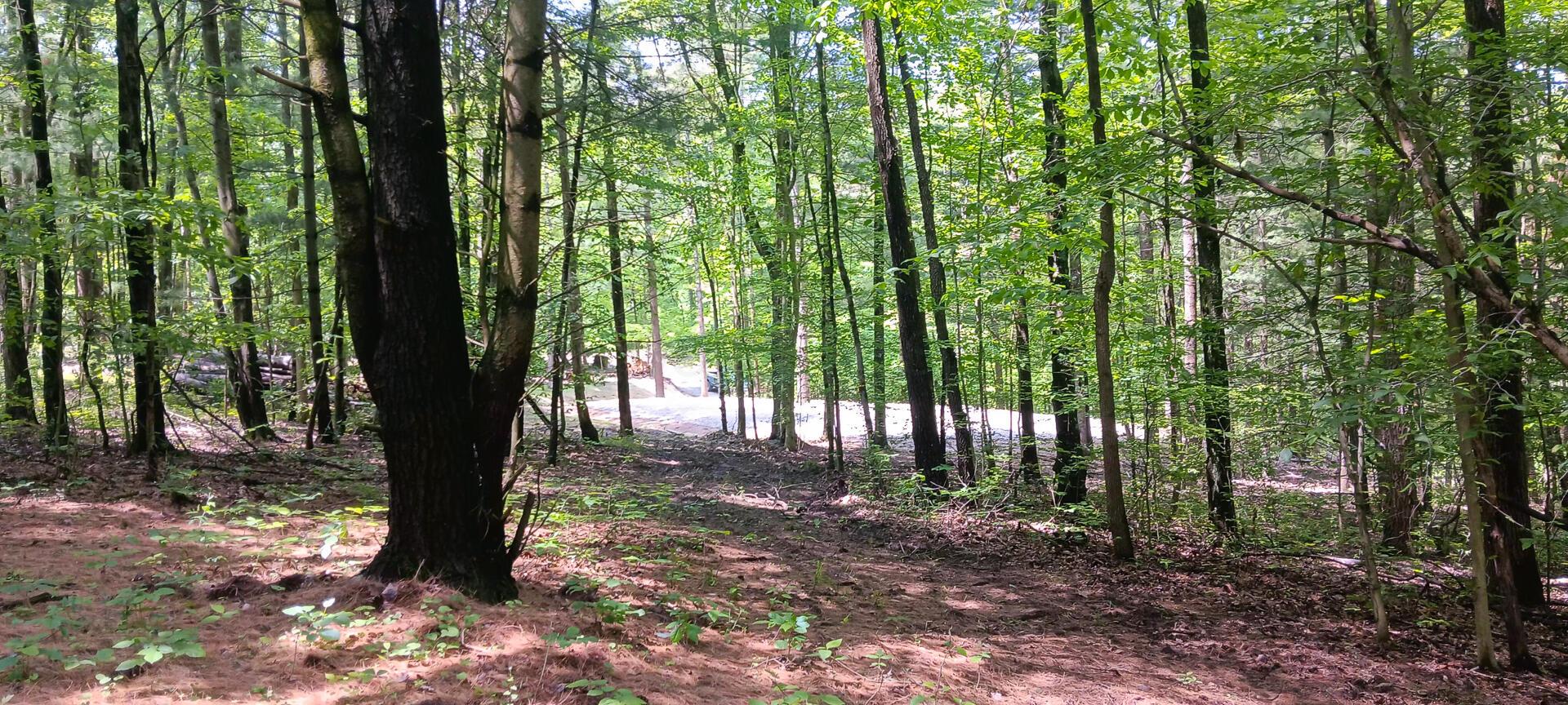 Mulberry Street #LOT M WOODS FLINT RIDGE, Newark, Ohio image 37