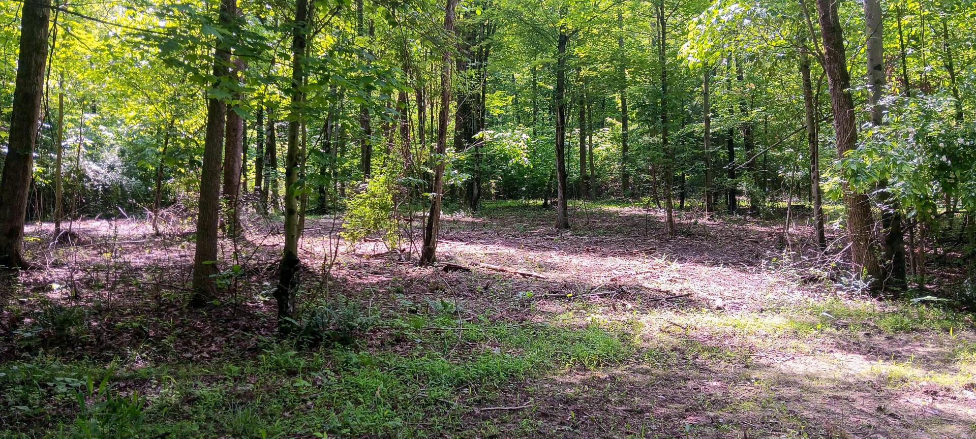 Mulberry Street #LOT M WOODS FLINT RIDGE, Newark, Ohio image 30