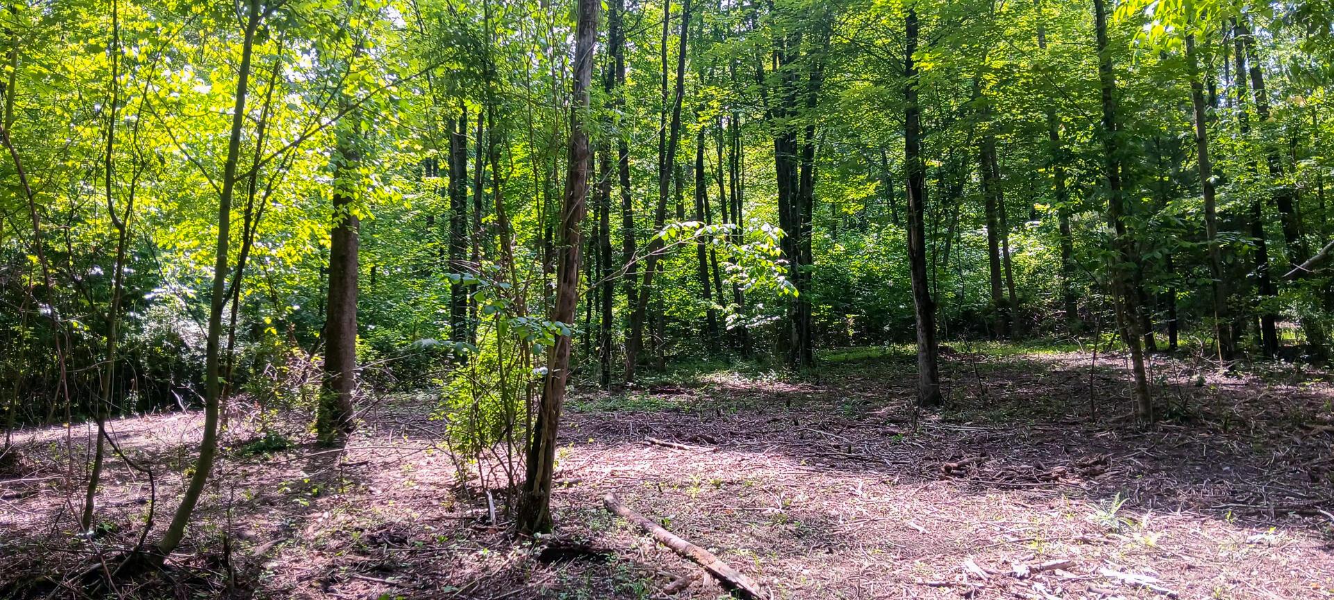 Mulberry Street #LOT M WOODS FLINT RIDGE, Newark, Ohio image 33