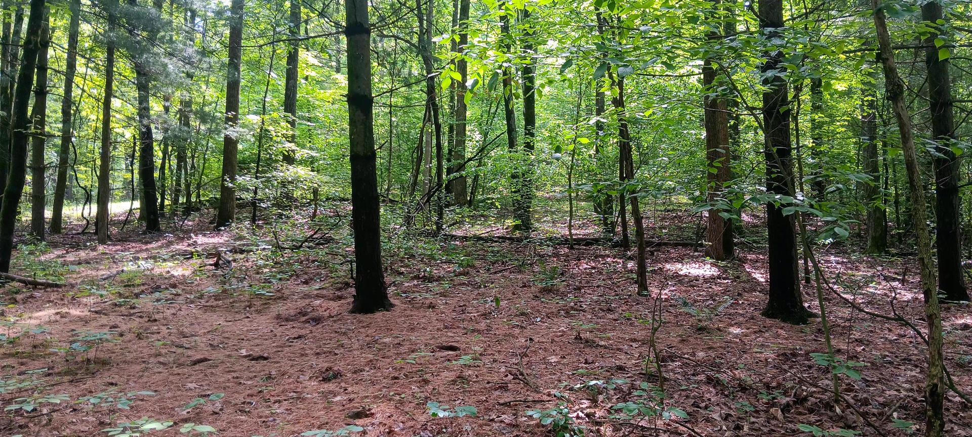 Mulberry Street #LOT M WOODS FLINT RIDGE, Newark, Ohio image 25