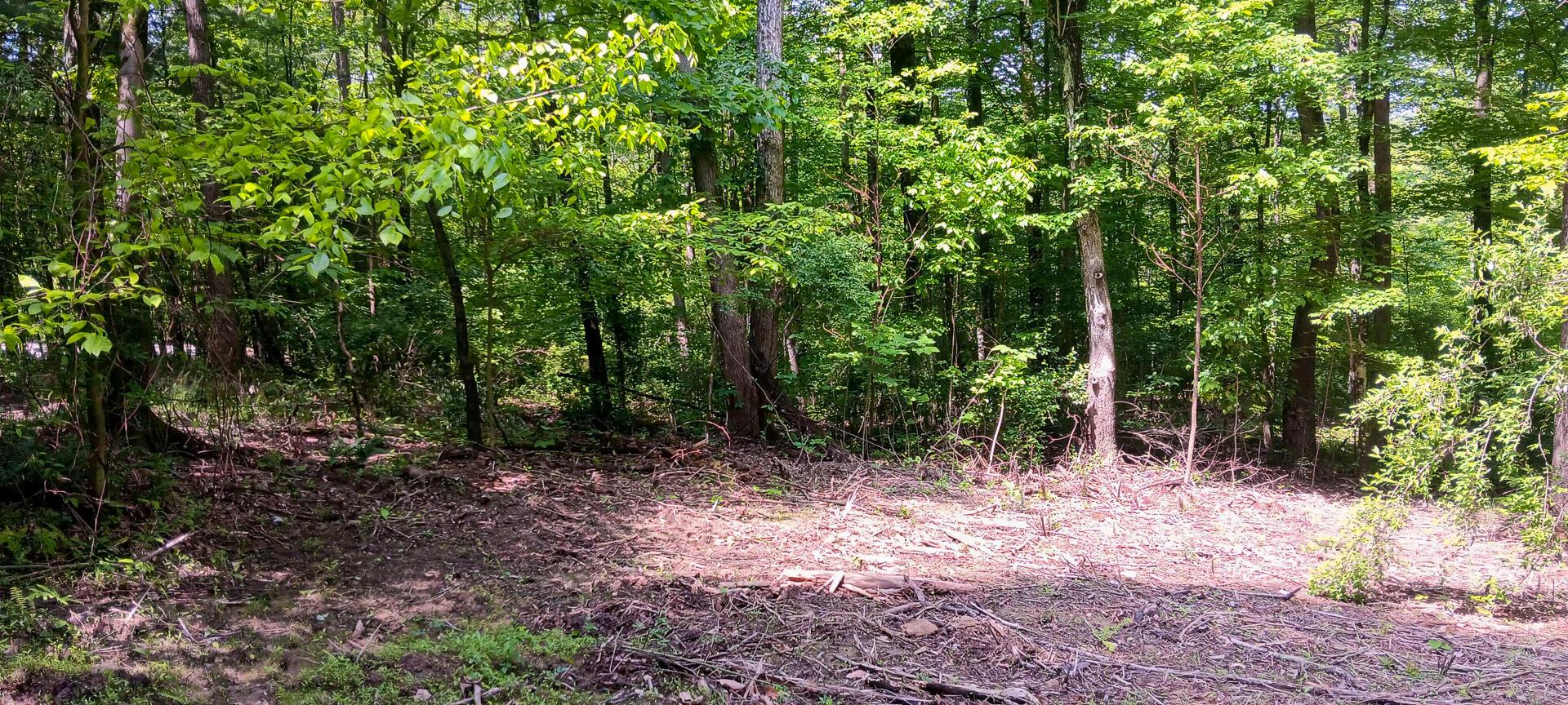 Mulberry Street #LOT M WOODS FLINT RIDGE, Newark, Ohio image 34