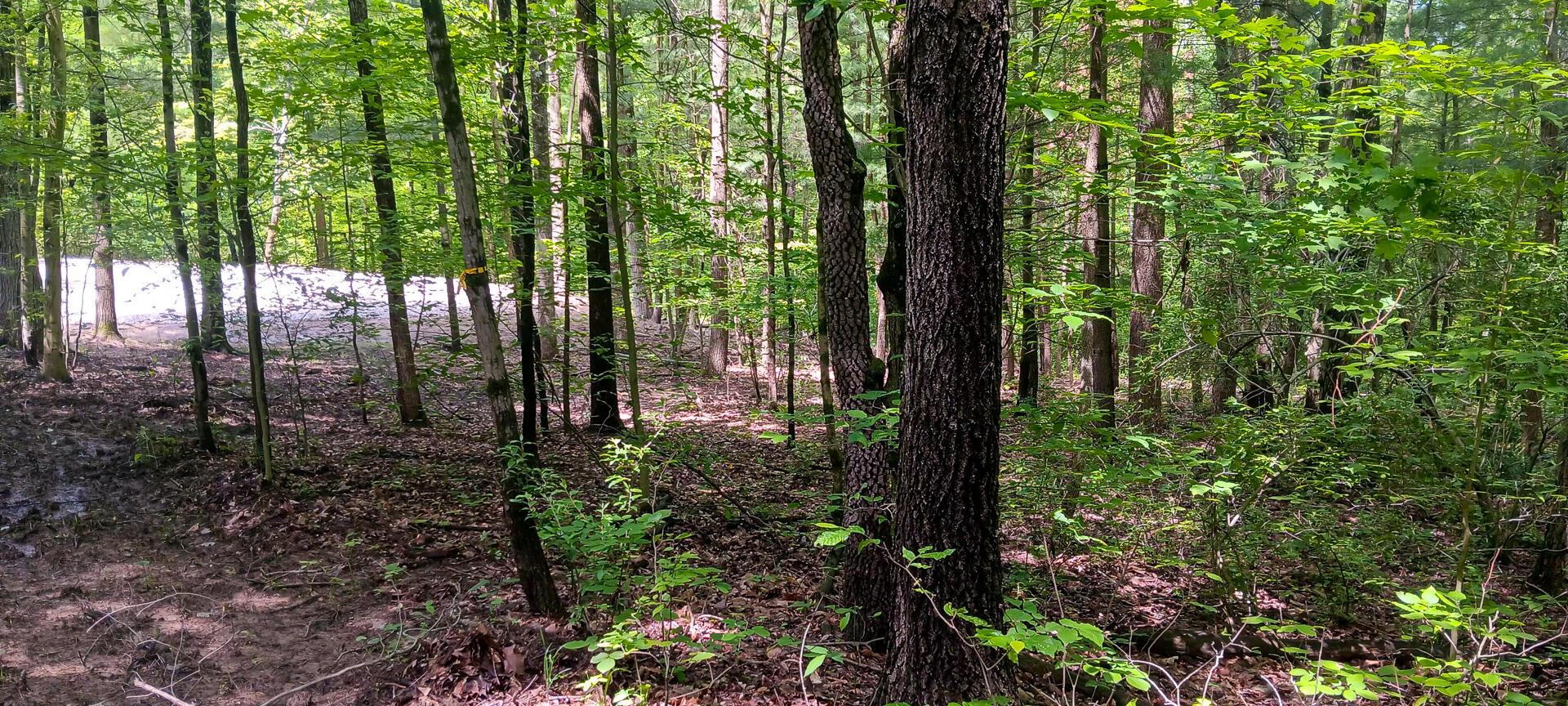 Mulberry Street #LOT M WOODS FLINT RIDGE, Newark, Ohio image 24