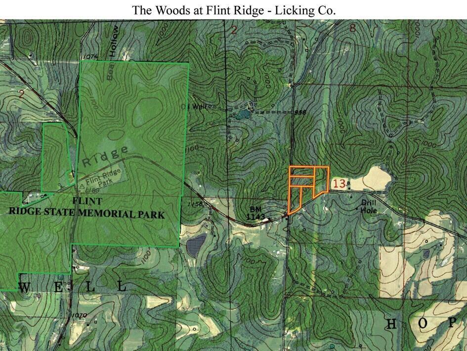 Mulberry Street #LOT M WOODS FLINT RIDGE, Newark, Ohio image 41