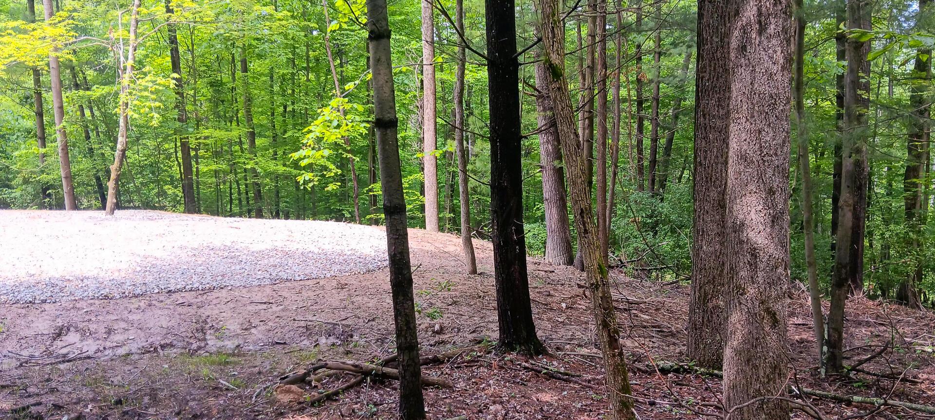 Mulberry Street #LOT M WOODS FLINT RIDGE, Newark, Ohio image 20