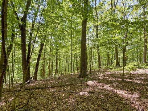 Tiny photo for 24442 Bushby Road, South Bloomingville, OH 43152 (MLS # 226038885)
