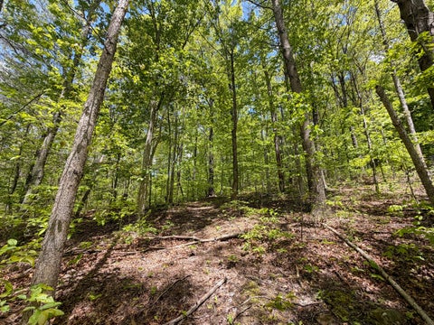 Tiny photo for 24442 Bushby Road, South Bloomingville, OH 43152 (MLS # 226038885)