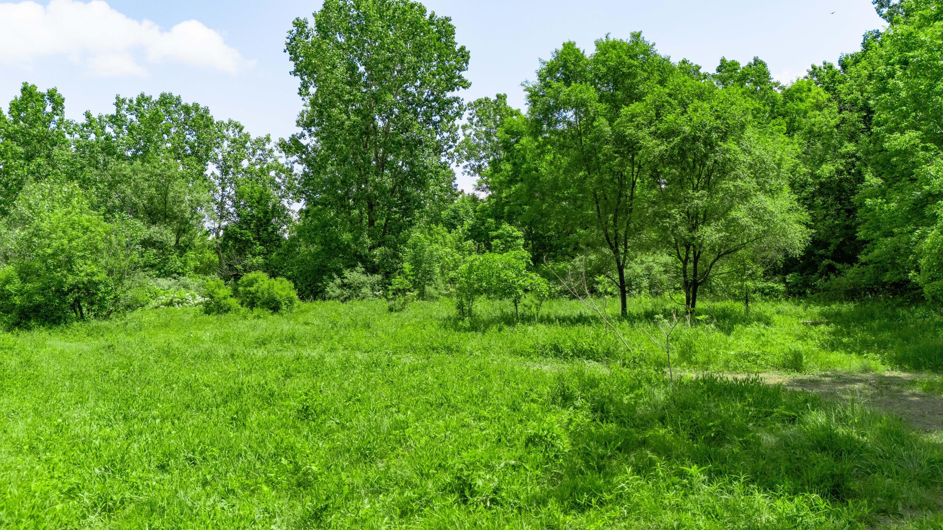 Woodville Road #LOT 14956, 14957, 1495, Mansfield, Ohio image 19