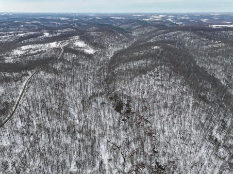 Vacant Land For Sale - 0 TRACT 8 Barber Ridge Rd<br/> Lewisville, OH 43754