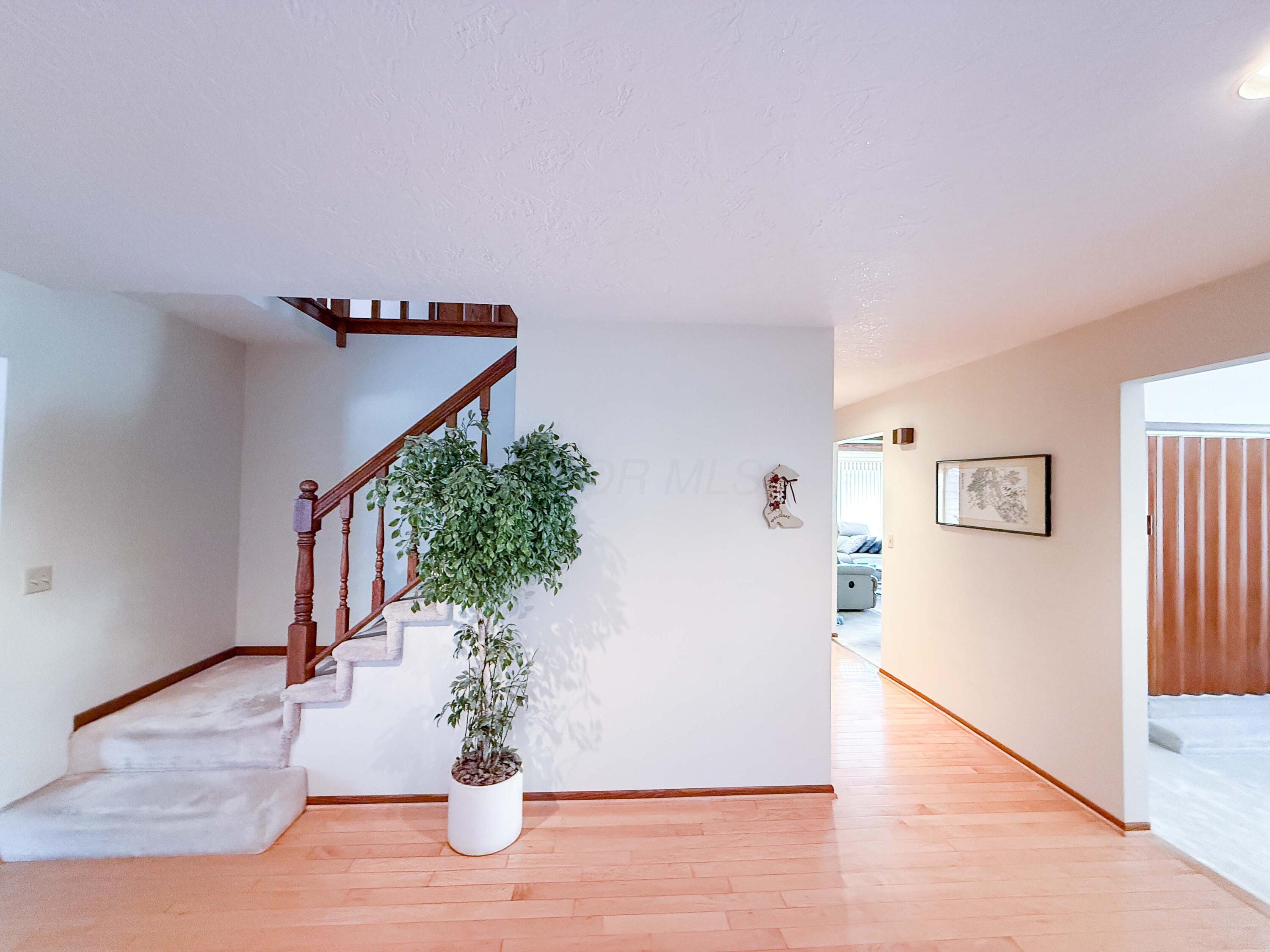 436 Catalpa Lane, Mount Gilead, Ohio image 15