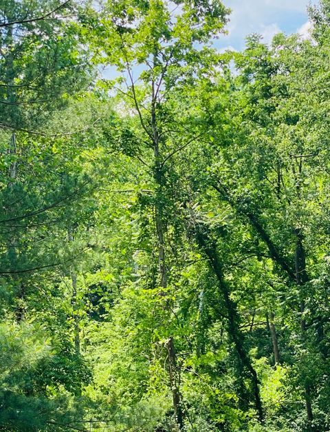 Photo of 4744 Spring Hill Road SE, Newark, OH 43055 (MLS # 226020936)