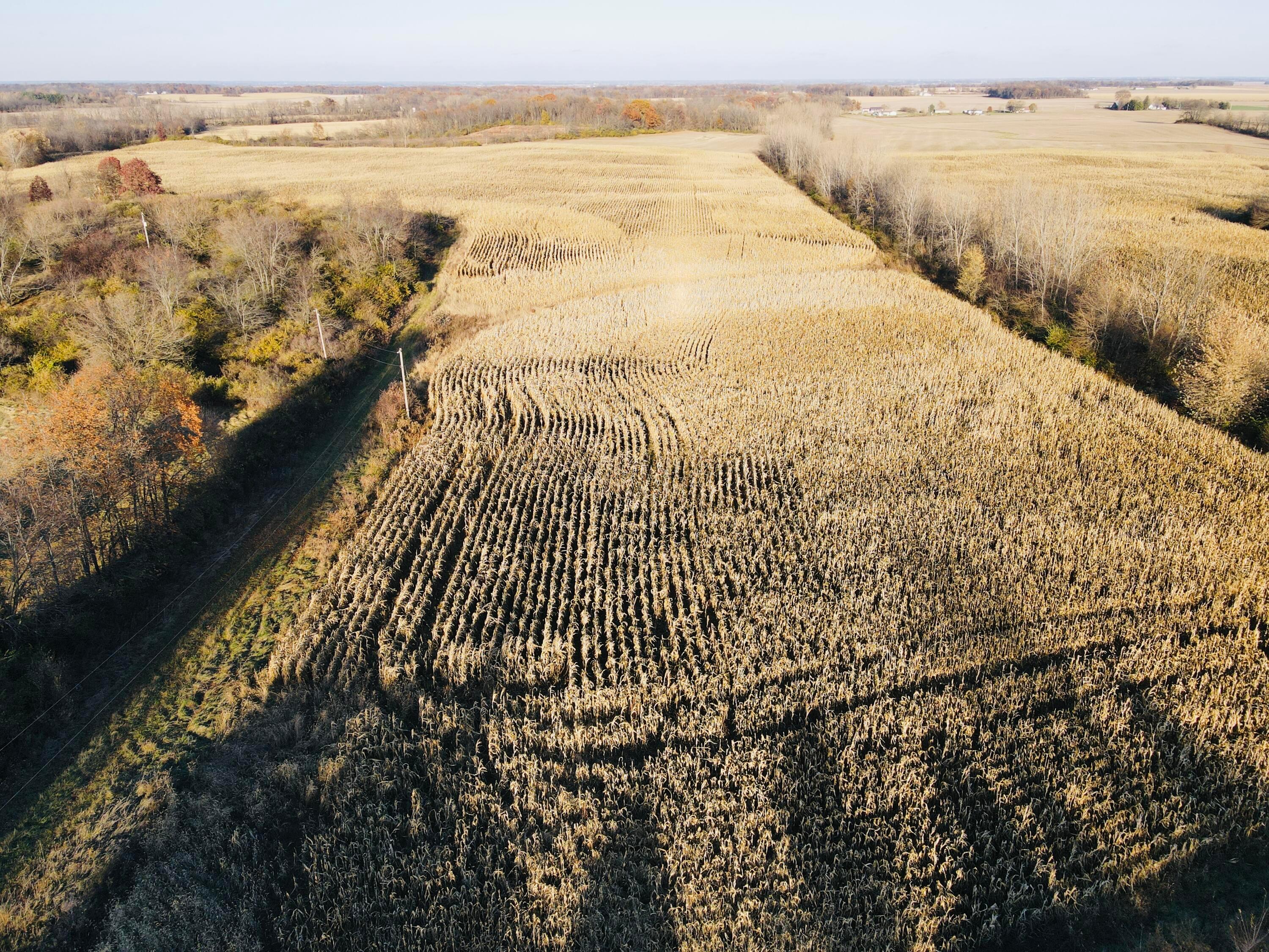 0 Urbana-London Road