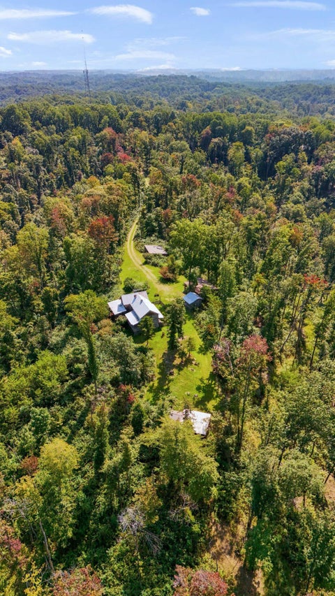 Tiny photo for 24657 Pole Ridge Road, South Bloomingville, OH 43152 (MLS # 226033308)