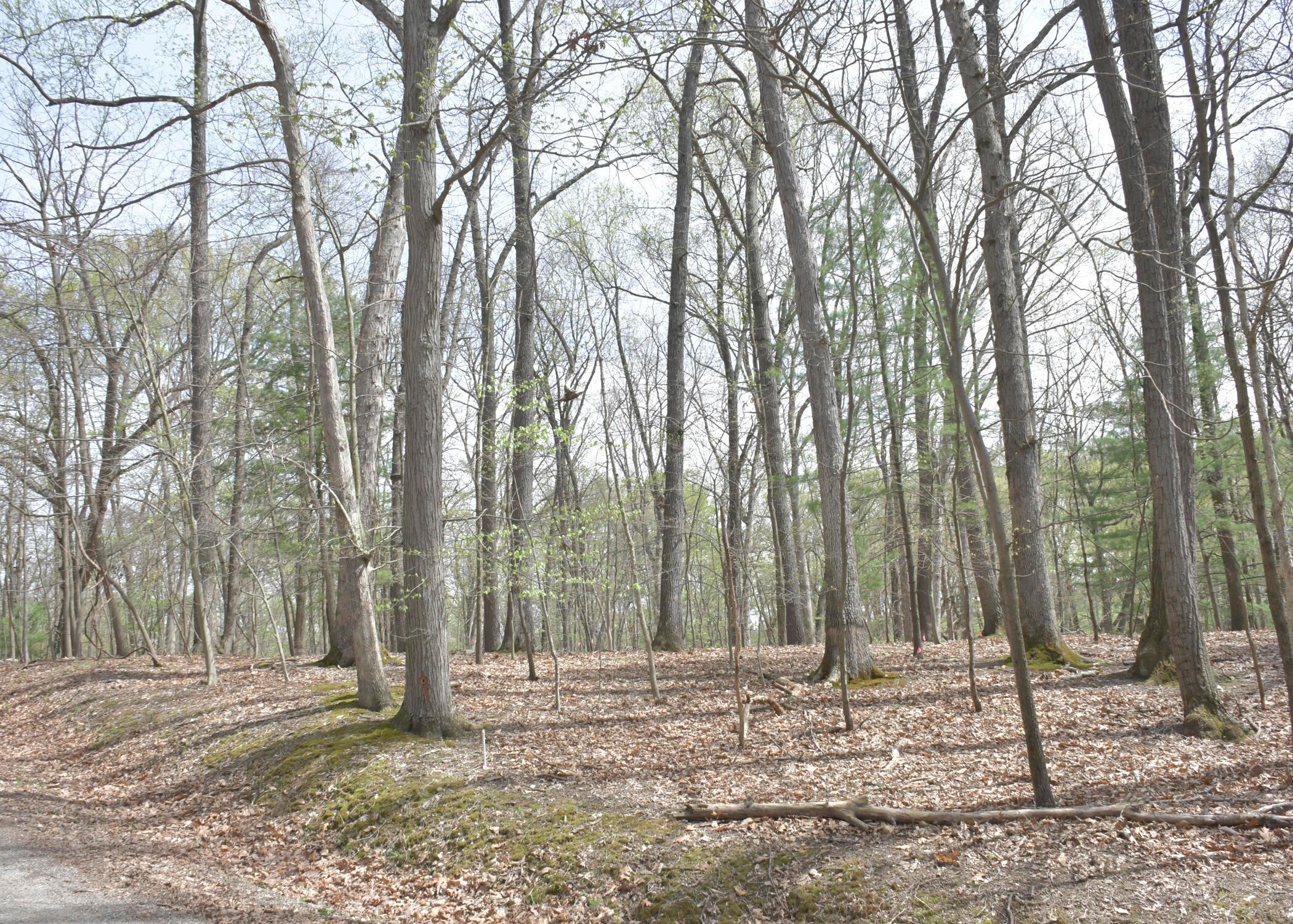 422 Wintun Court, Sugar Grove, Ohio image 1