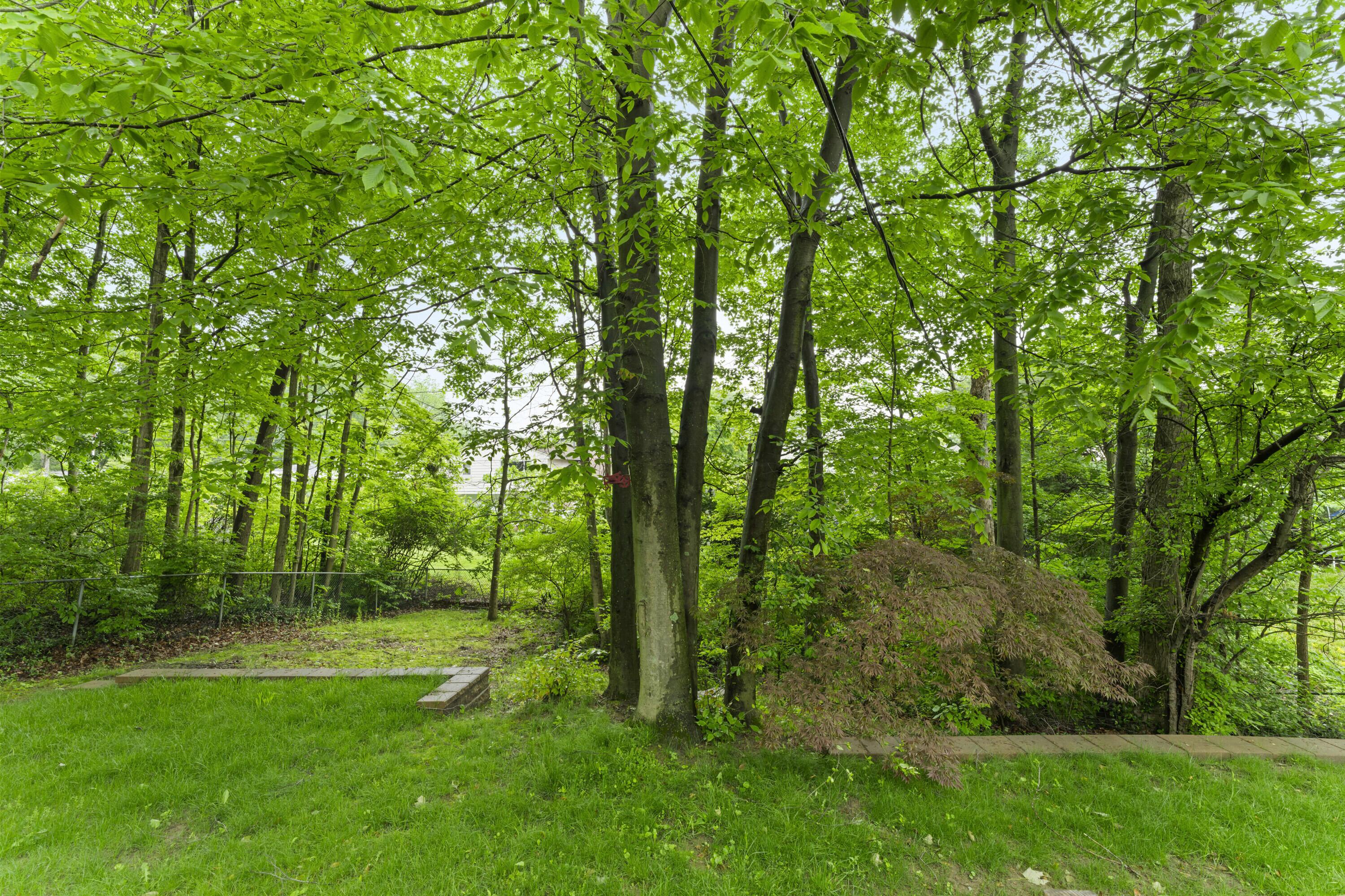 5585 Spohn Drive, Westerville, Ohio image 6