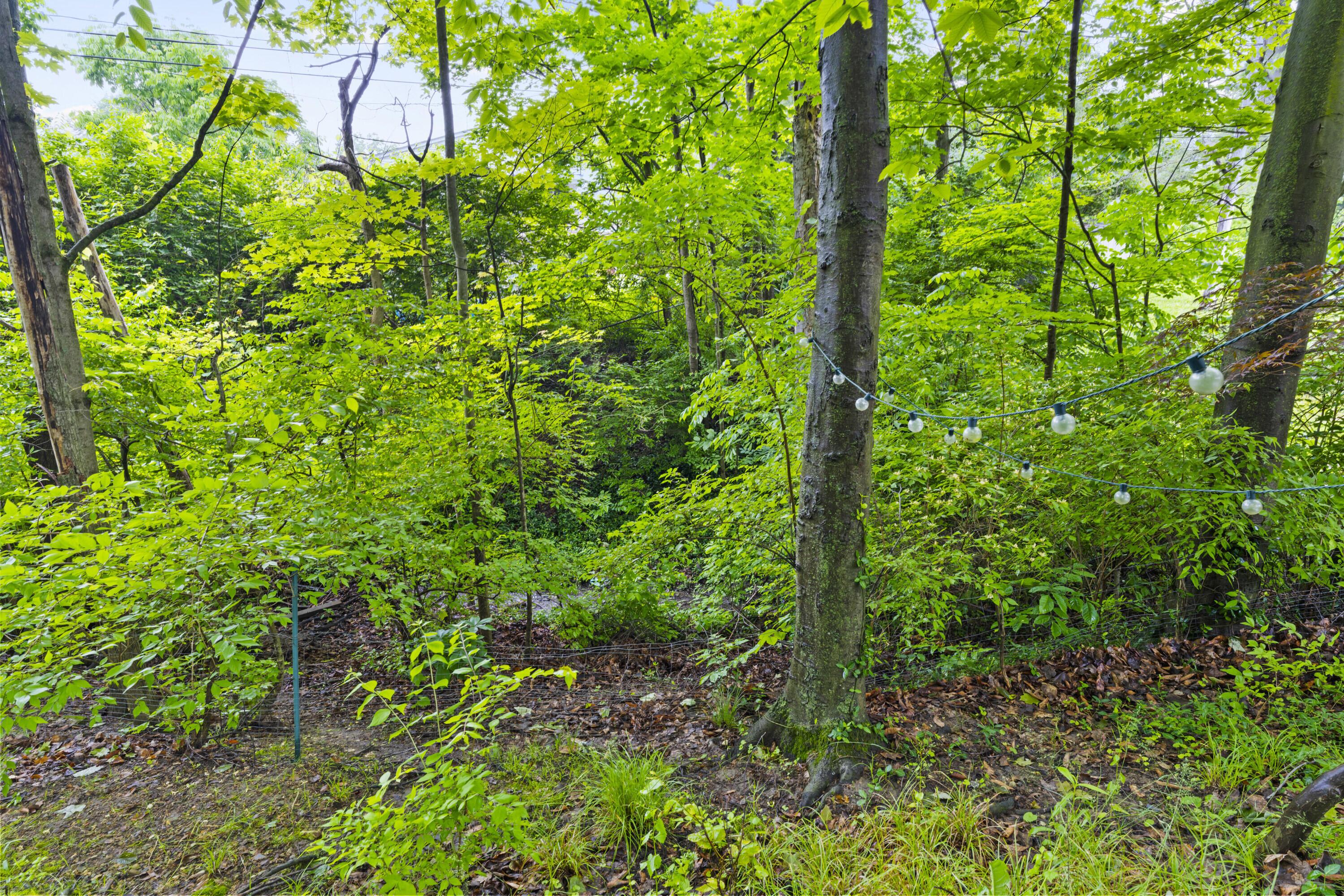 5585 Spohn Drive, Westerville, Ohio image 7