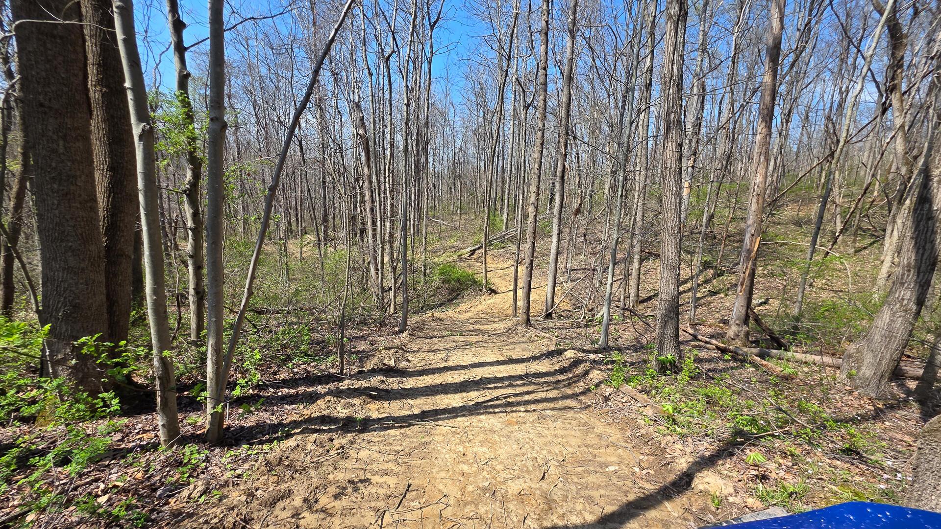 0 Dennis Road (Tract 4 at Muskingum Woods)