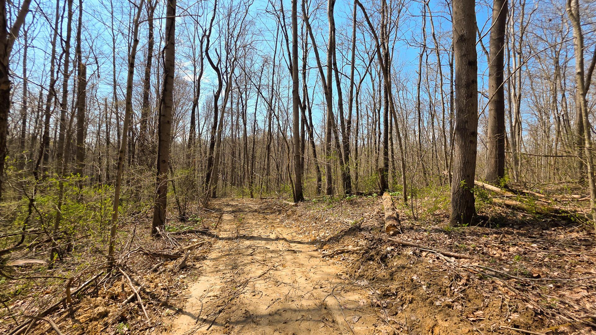0 Dennis Road (Tract 4 at Muskingum Woods)