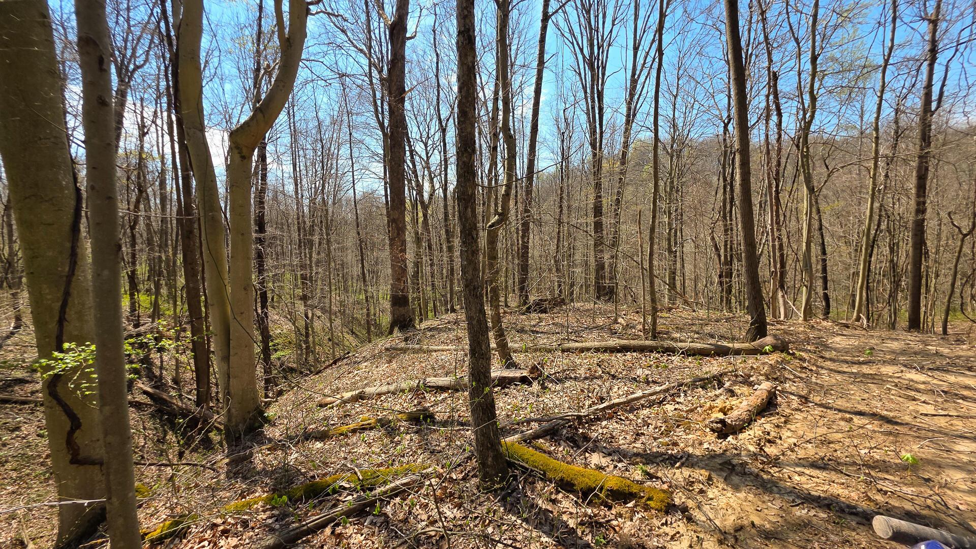 0 Dennis Road (Tract 4 at Muskingum Woods)