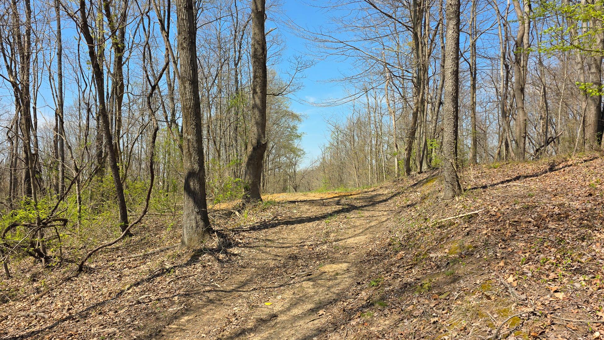 0 Dennis Road (Tract 4 at Muskingum Woods)