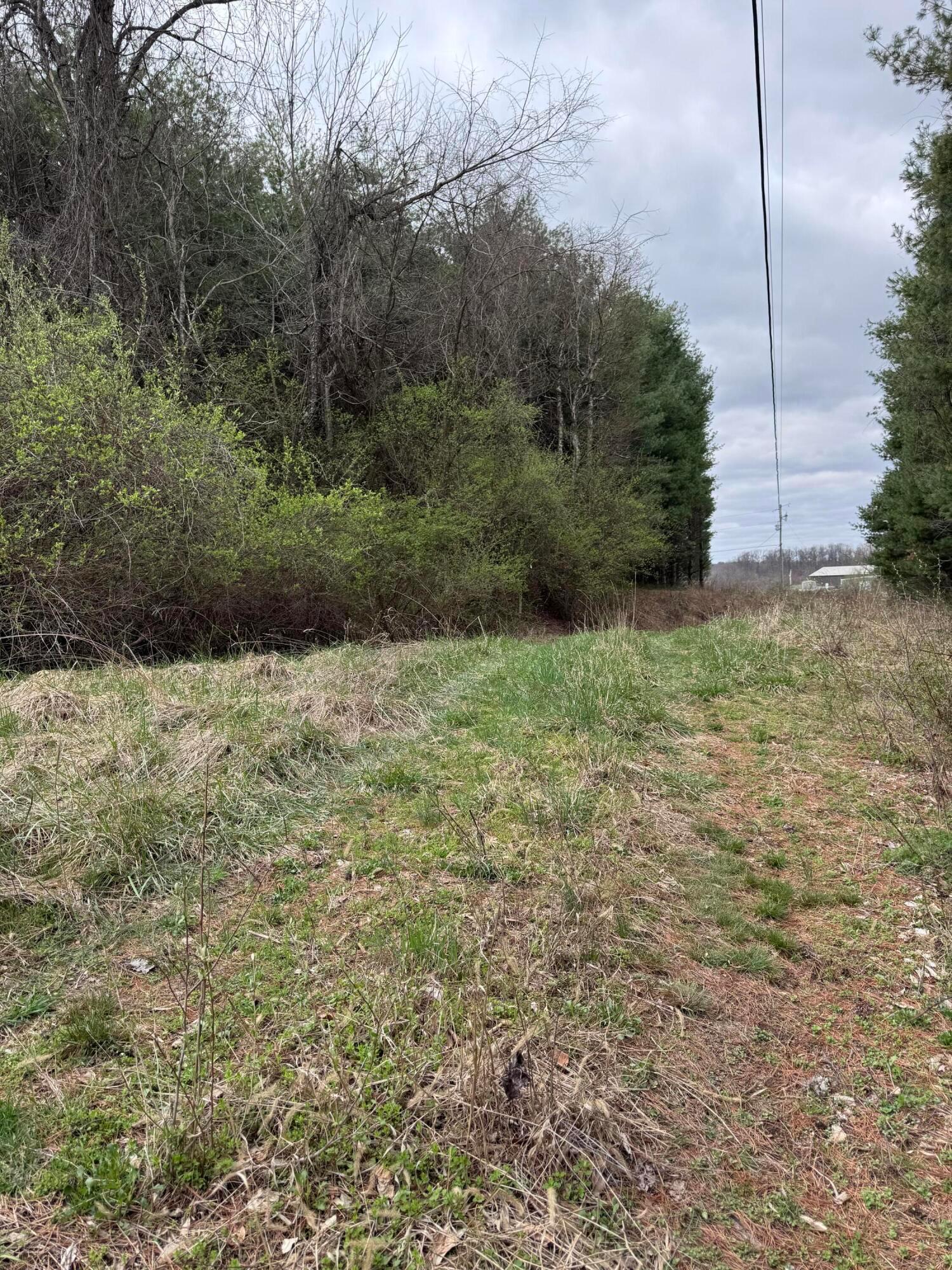 Forest Grove Ridge Road, Caldwell, Ohio image 15