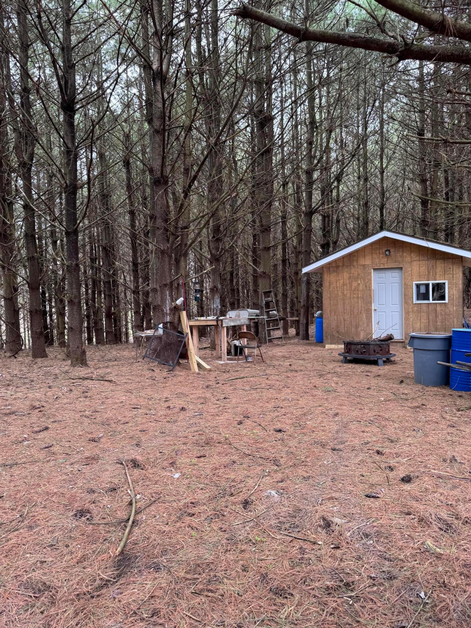 Forest Grove Ridge Road, Caldwell, Ohio image 8