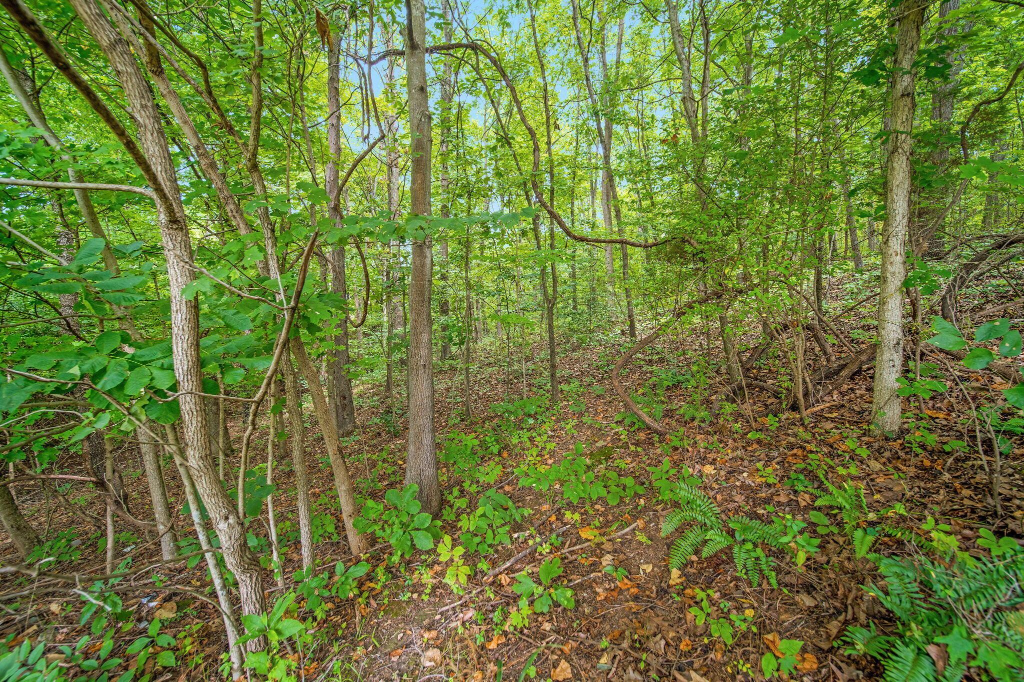 880 E Bethel Church Road, Gallipolis, Ohio image 20