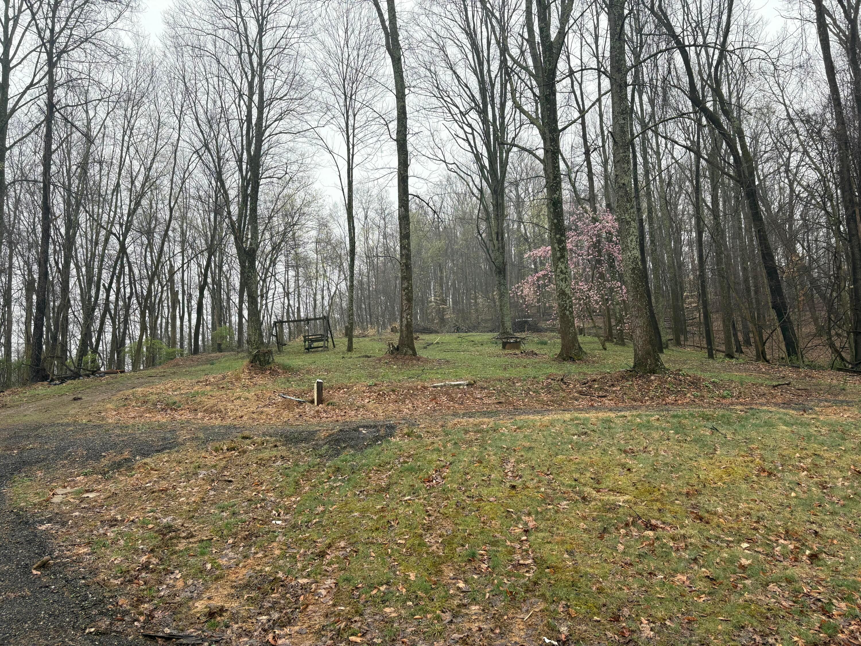 4450 Chicken Coop Hill Road, Sugar Grove, Ohio image 8