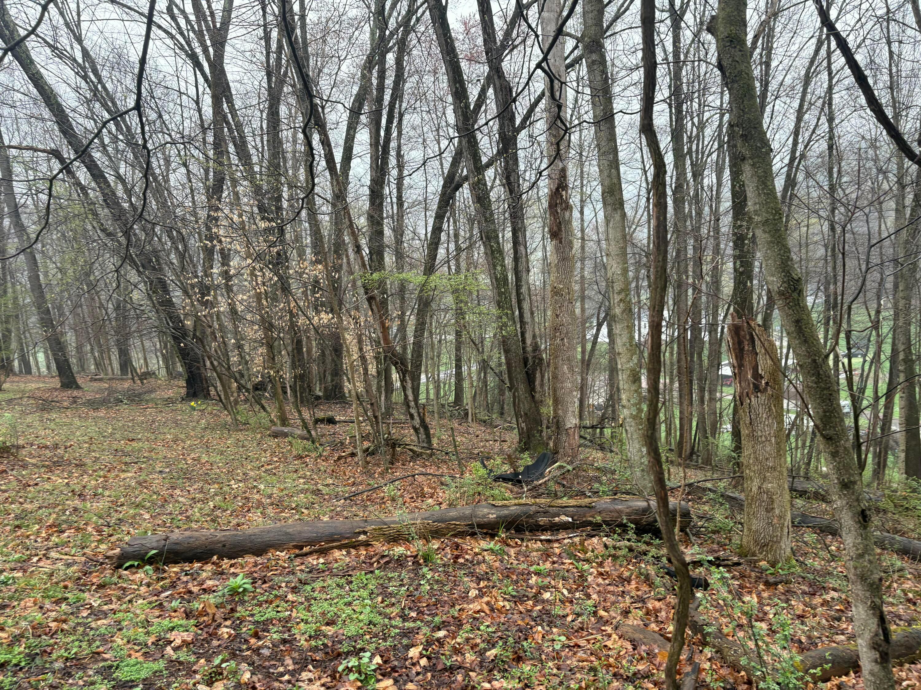 4450 Chicken Coop Hill Road, Sugar Grove, Ohio image 6
