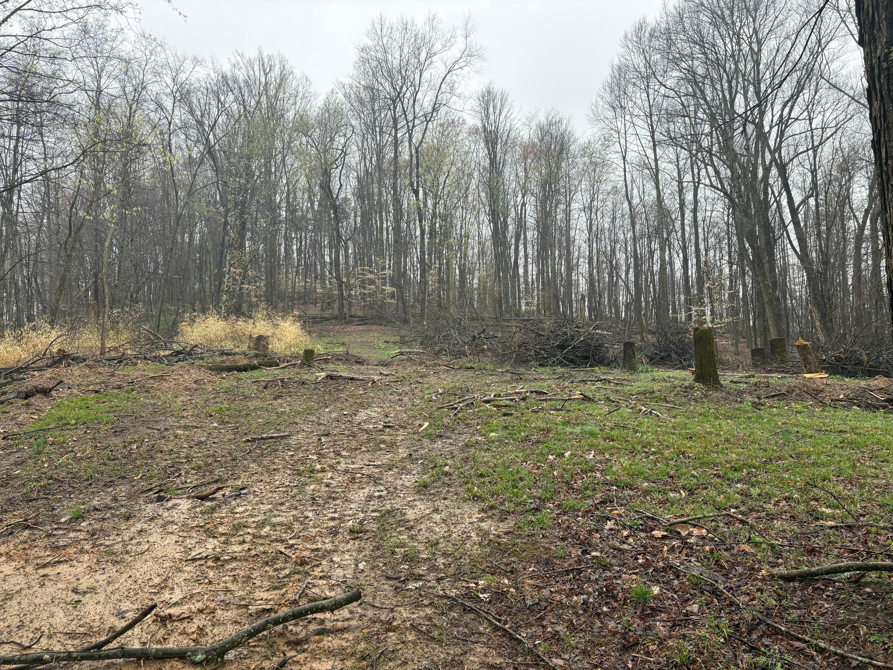 4450 Chicken Coop Hill Road, Sugar Grove, Ohio image 7