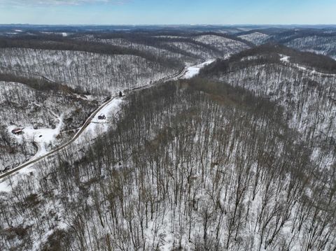 Vacant Land For Sale - 0 TR 7 Edwina<br/> Woodsfield, OH 43793