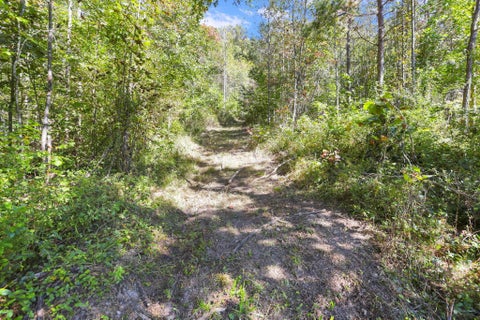 Tiny photo for 18762 Wagner Road, Laurelville, OH 43135 (MLS # 226038169)