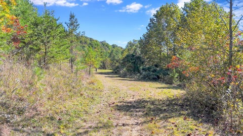 Tiny photo for 18762 Wagner Road, Laurelville, OH 43135 (MLS # 226038169)