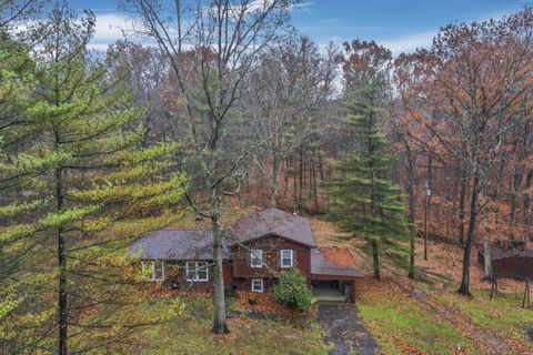 Photo of 10210 Frasure Helber Road, Logan, OH 43138 (MLS # 225043719)