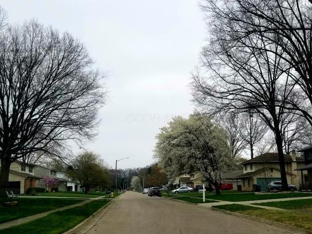 4999 Doral Avenue, Columbus, Ohio image 5
