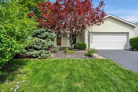 Photo of 7784 Leaview Drive, Columbus, OH 43235 (MLS # 226013717)