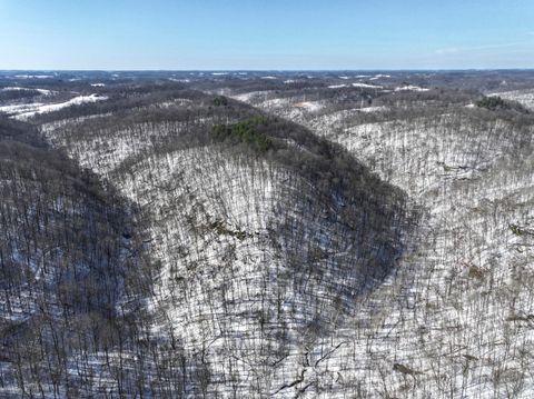 Vacant Land For Sale - 0 TRACT 5 Mann<br/> Woodsfield, OH 43793