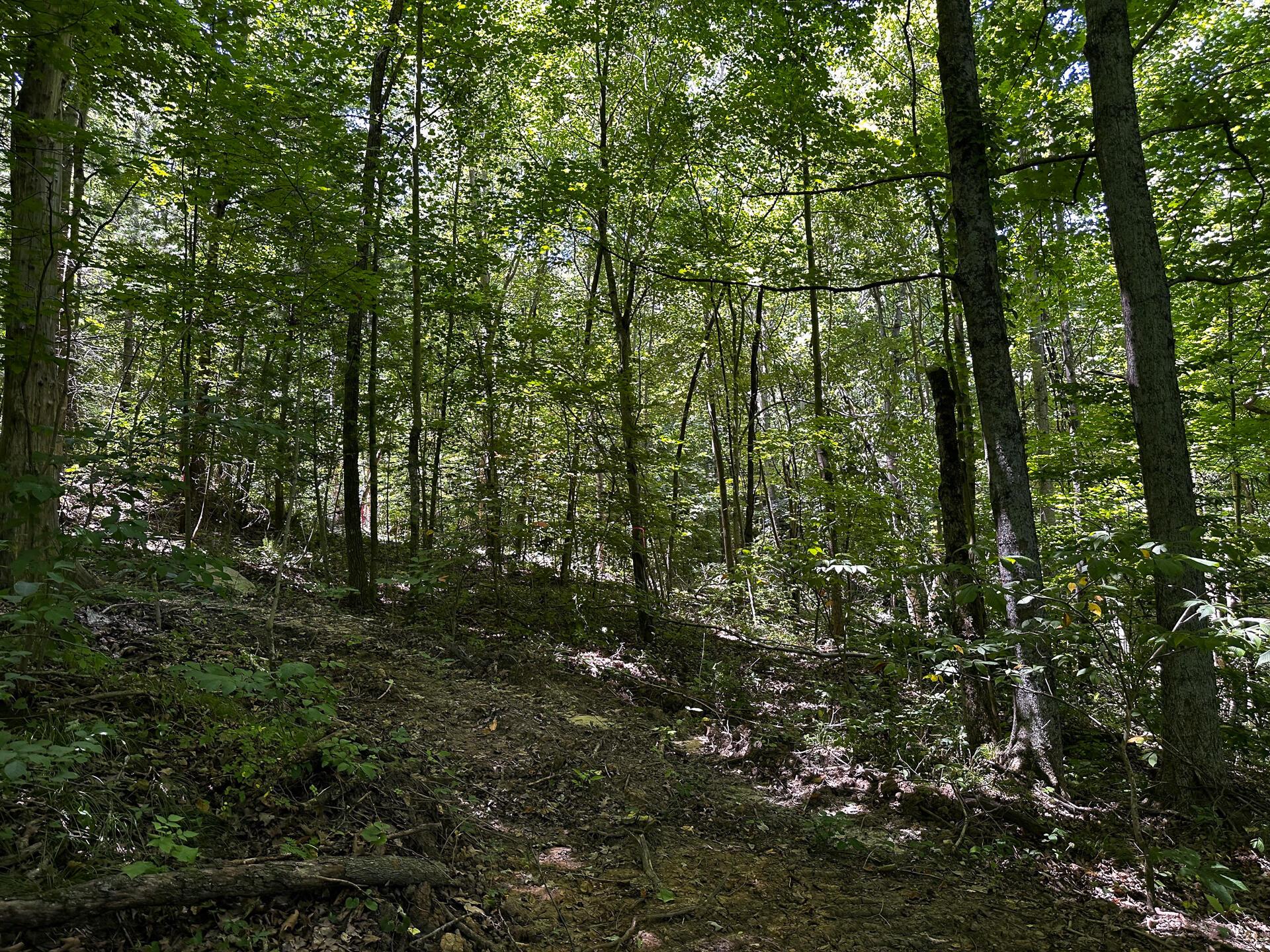 33114 Parkinson Road #TRACT 10 AT TITUS, Langsville, Ohio image 31
