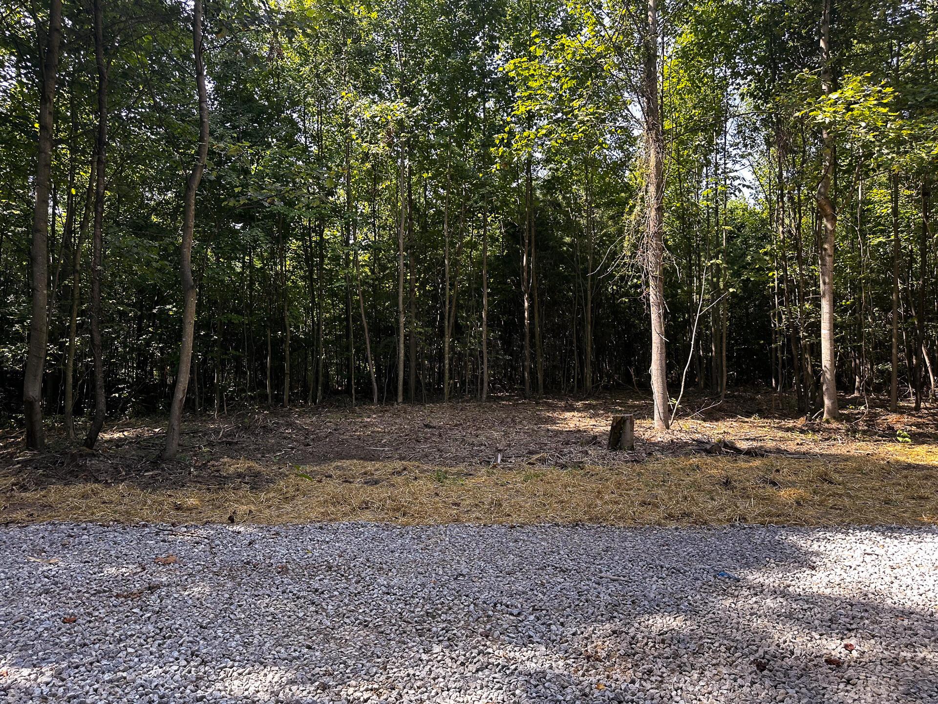 33114 Parkinson Road #TRACT 10 AT TITUS, Langsville, Ohio image 19