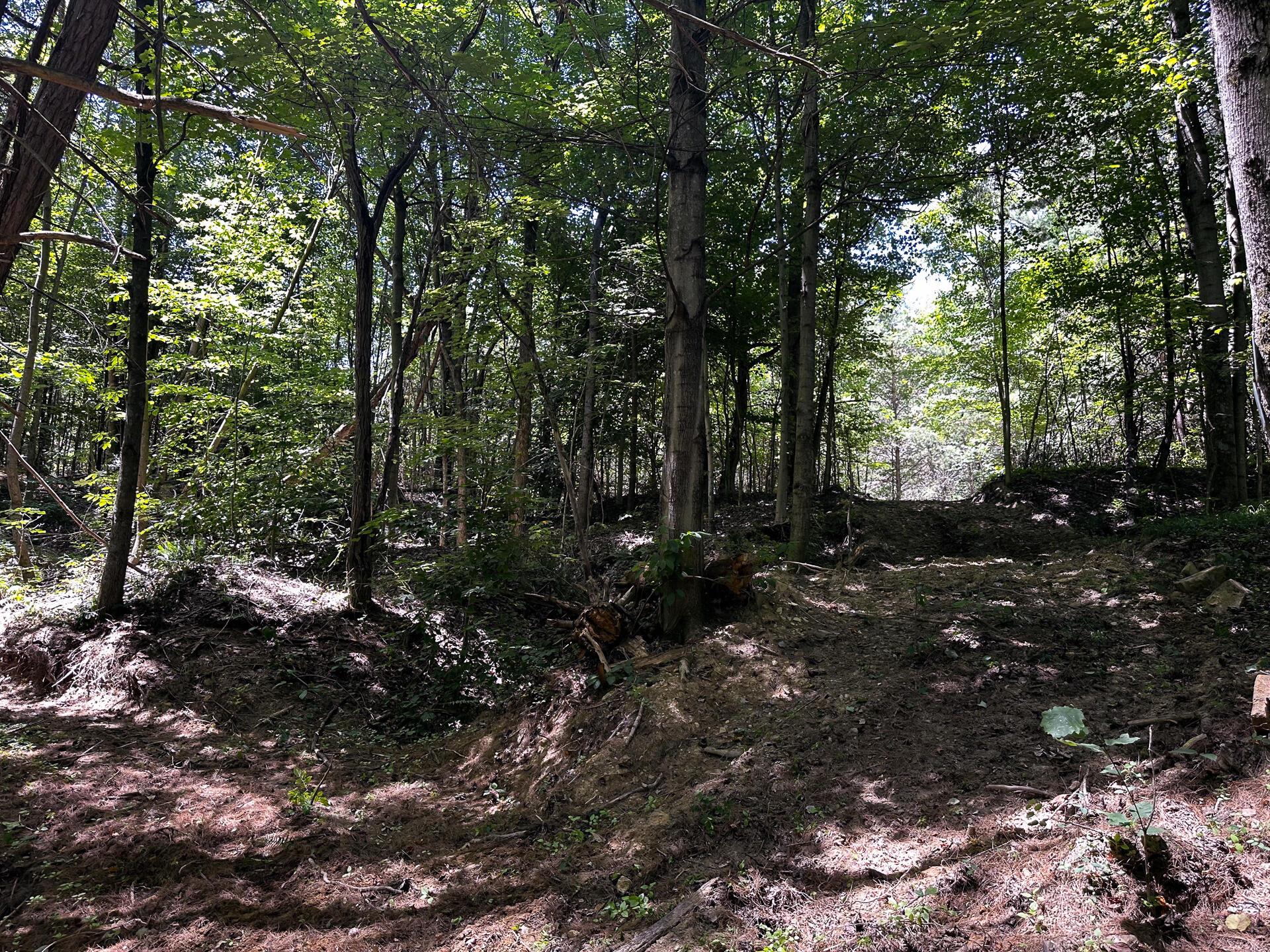 33114 Parkinson Road #TRACT 10 AT TITUS, Langsville, Ohio image 36