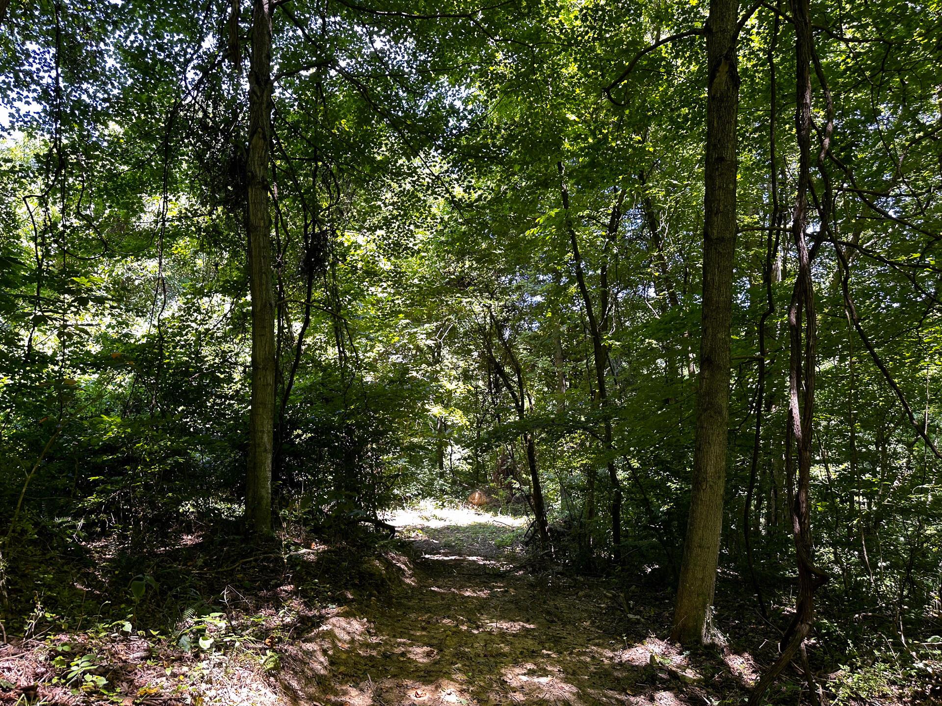 33114 Parkinson Road #TRACT 10 AT TITUS, Langsville, Ohio image 26