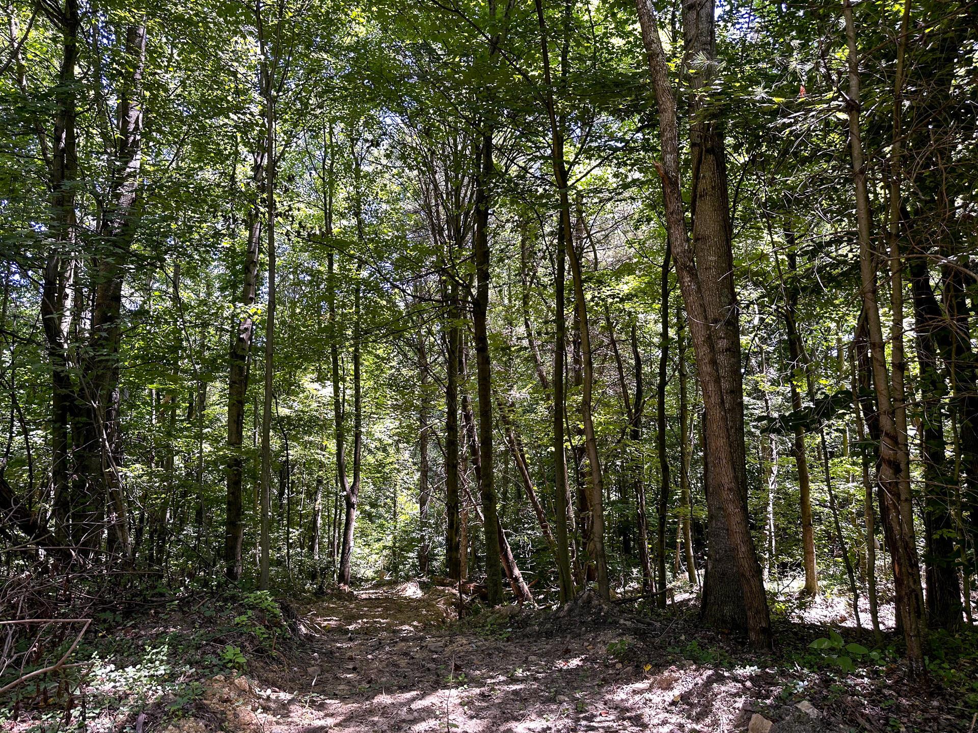 33114 Parkinson Road #TRACT 10 AT TITUS, Langsville, Ohio image 35