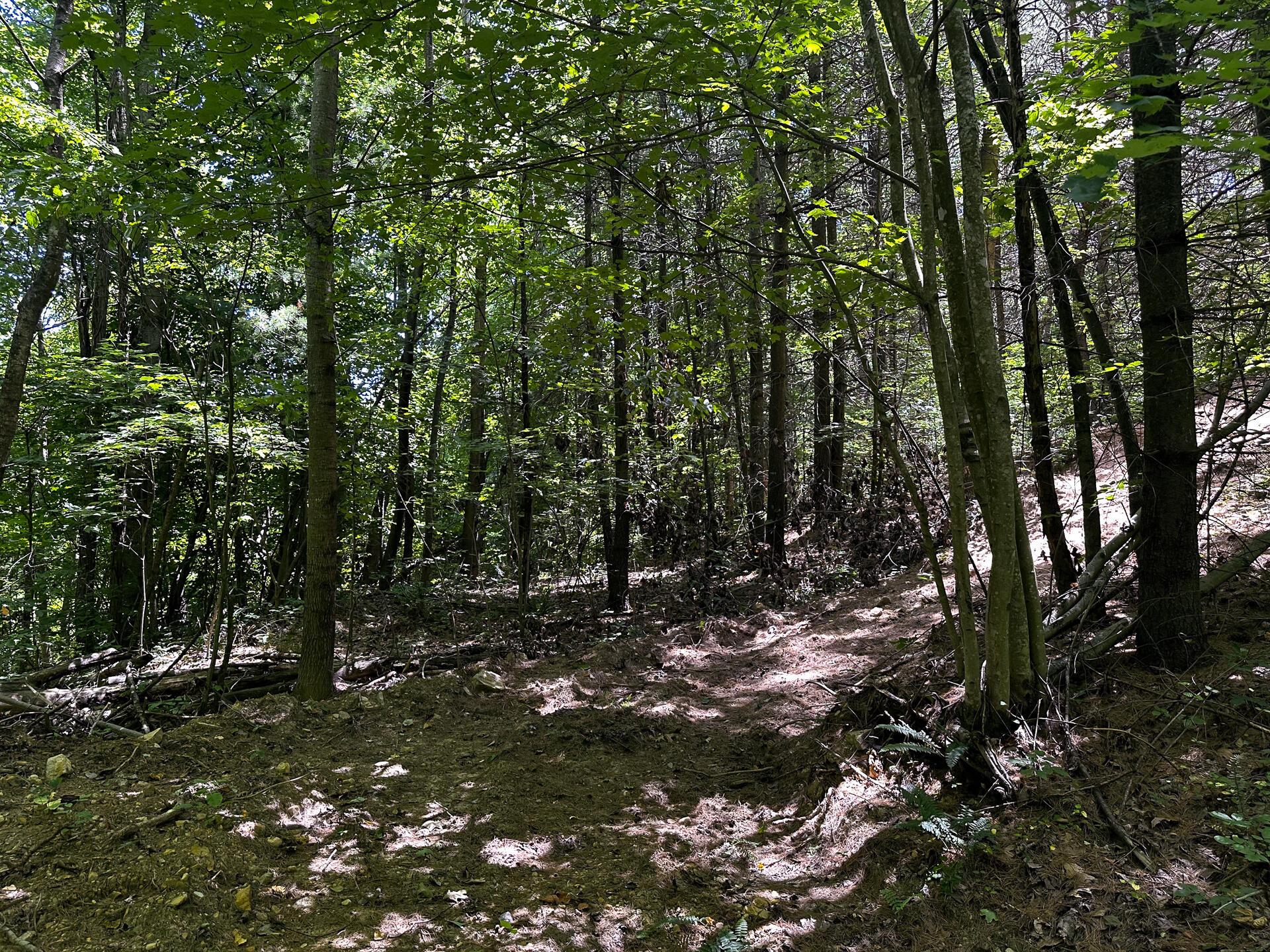 33114 Parkinson Road #TRACT 10 AT TITUS, Langsville, Ohio image 34