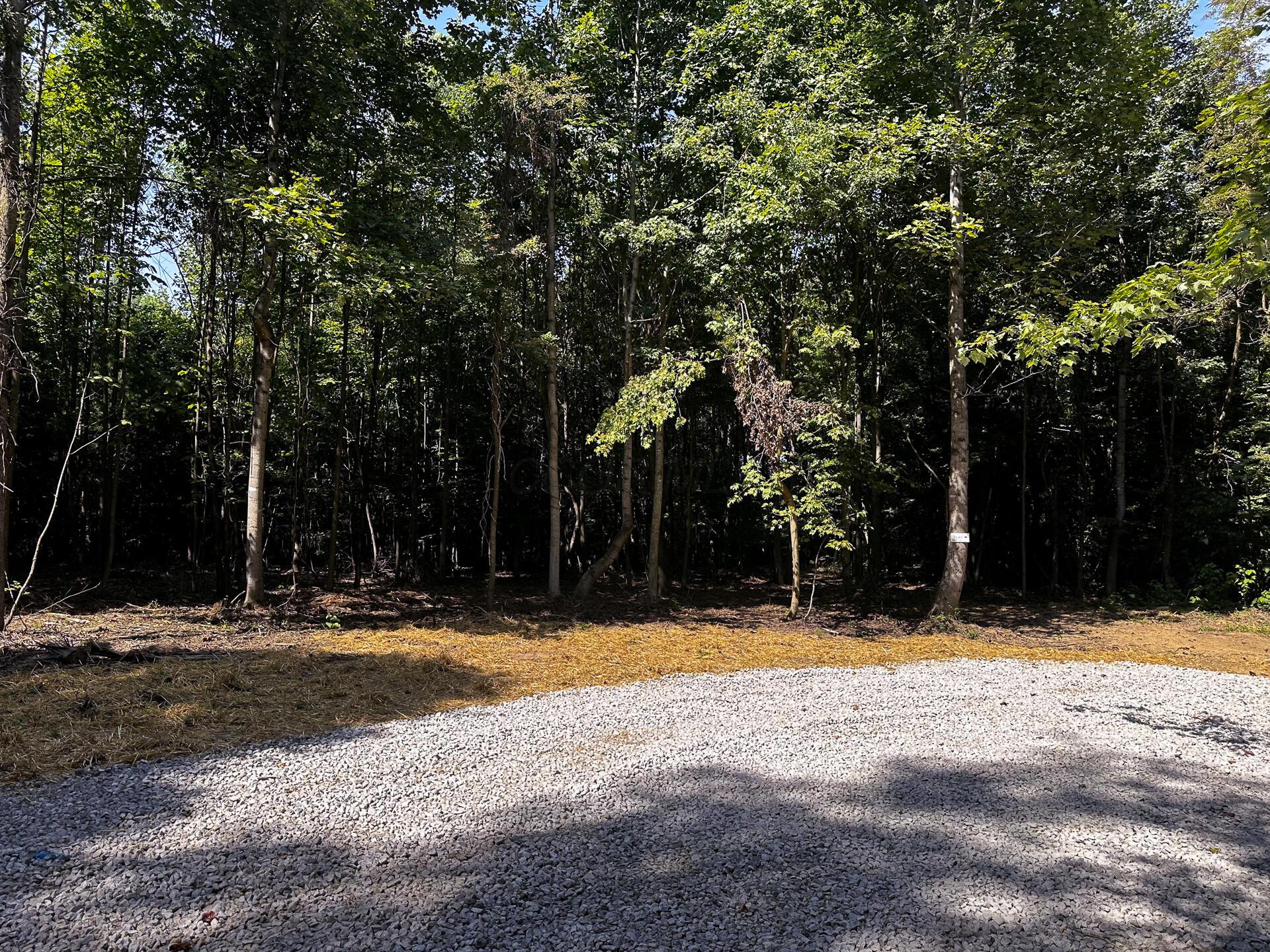 33114 Parkinson Road #TRACT 10 AT TITUS, Langsville, Ohio image 37